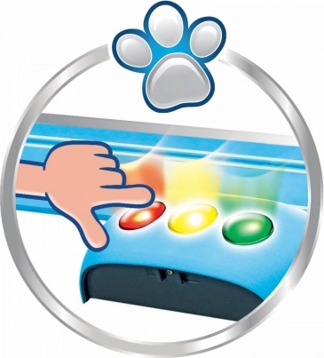 Diversión interactiva con luces y sonidos