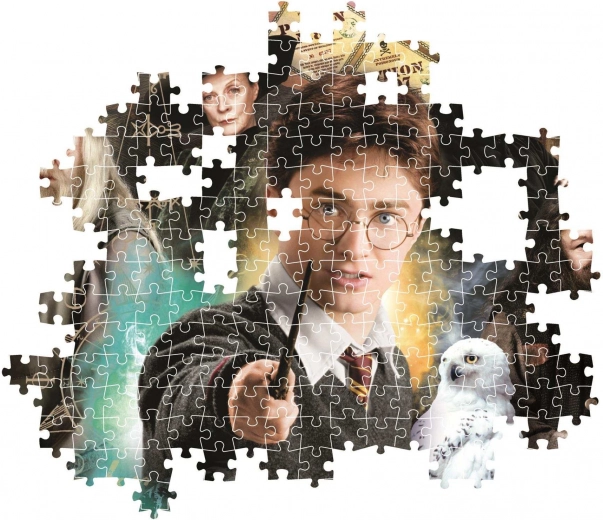 Motivo mágico de HARRY POTTER