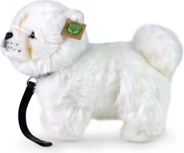 Relleno eco‑friendly de botellas PET