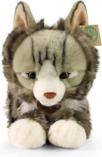 Peluche suave y de calidad para abrazos interminables