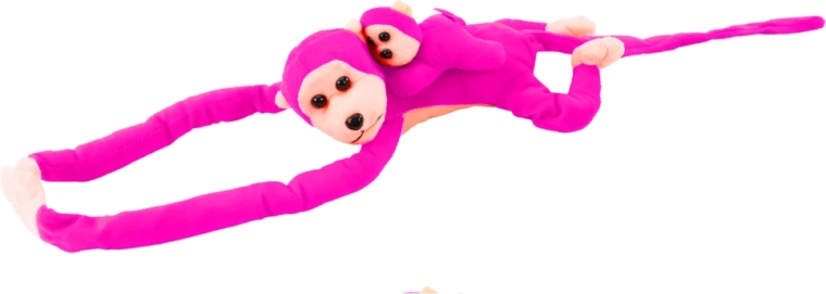 Apto para cualquier pequeño explorador