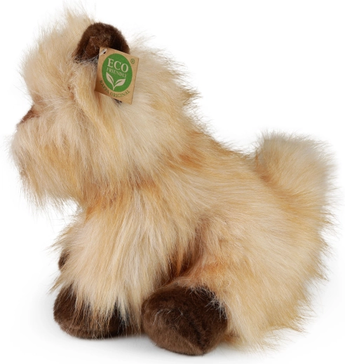 Seguro para los más pequeños