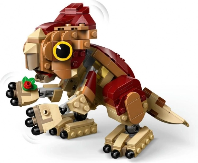 Planta construible y detalles cuidados