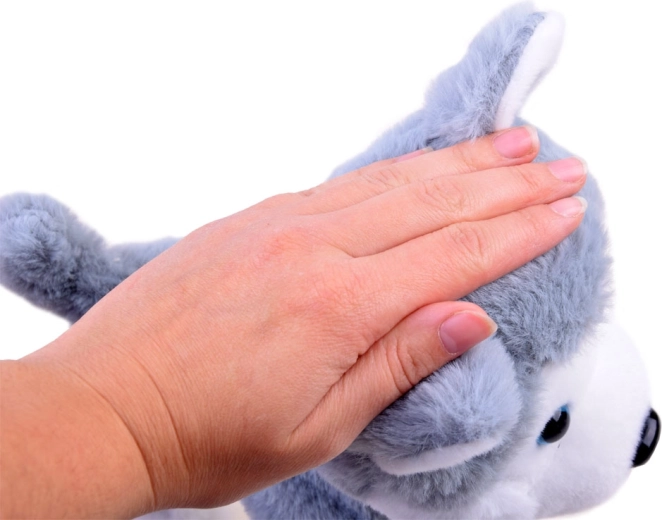 Respuesta al tacto y alegres ladridos