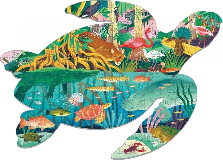 Forma icónica de tortuga e ilustraciones vibrantes de humedales