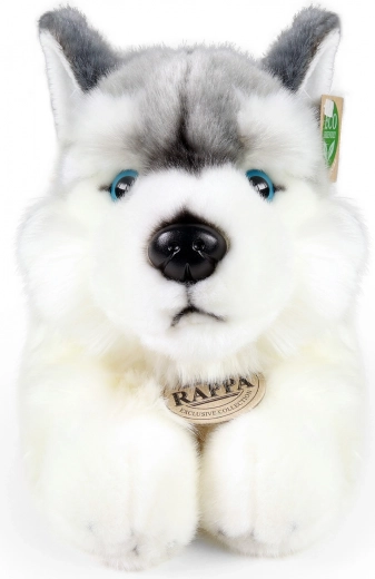Acabado realista del husky