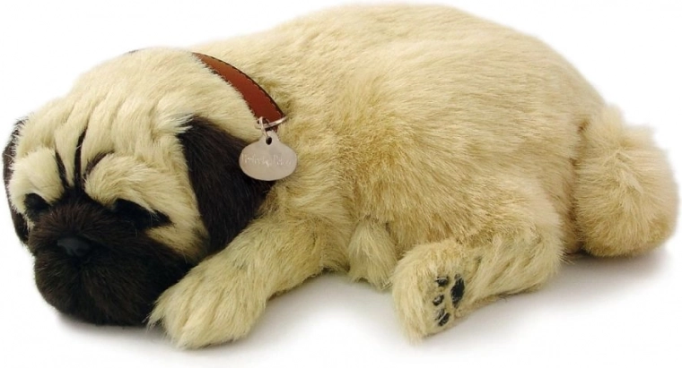 Fiel representación del pug