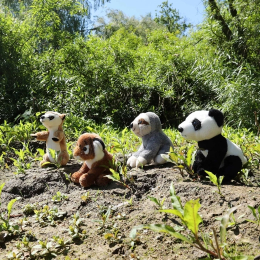 Colección de animales favoritos