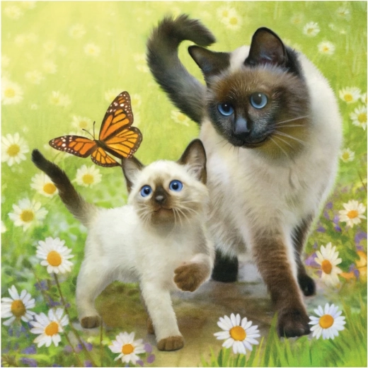 Familia de gatitos y detalles delicados