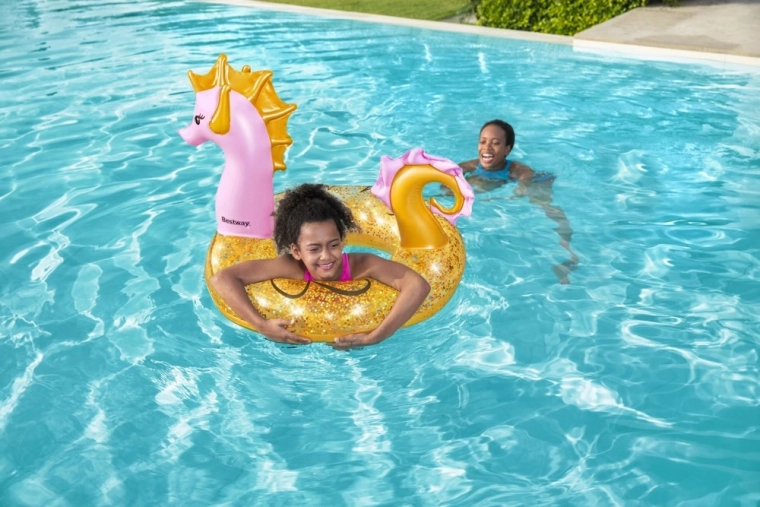 Diseño alegre de caballito de mar