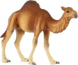 Detalles realistas del gigante del desierto