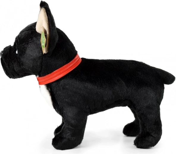 Detalles realistas y formato de pie