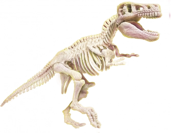 Esqueleto luminoso de T‑Rex