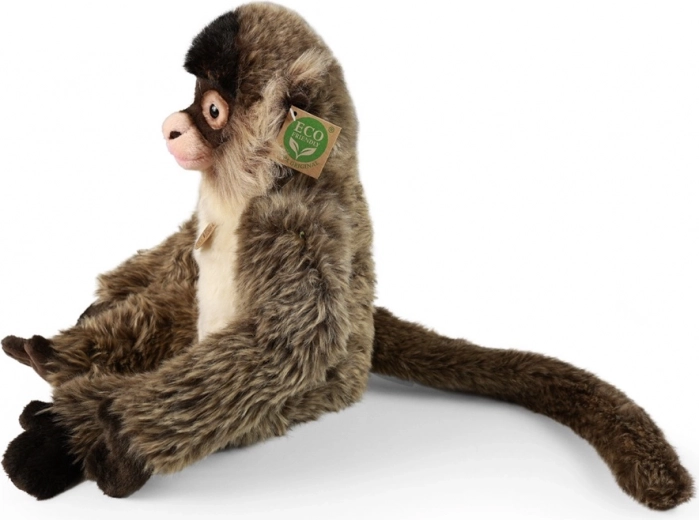 Relleno ECO-FRIENDLY