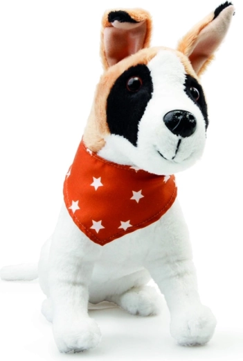 Fomento de la empatía y el cuidado