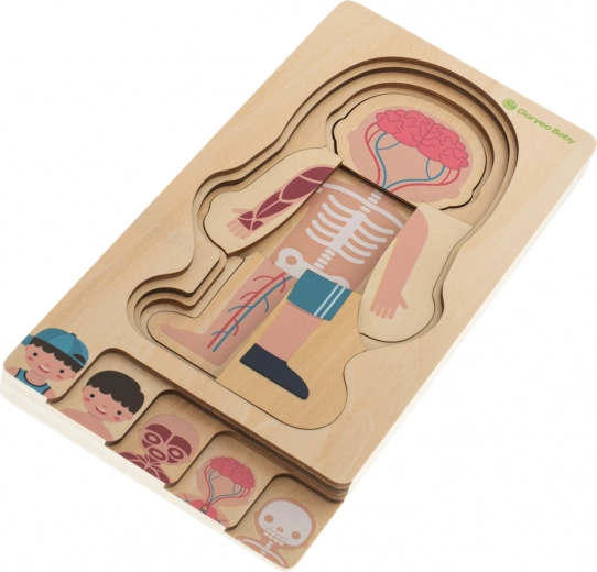 Material seguro y ecológico