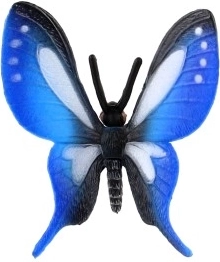 Hermosas alas azules