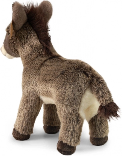 Apto desde el nacimiento