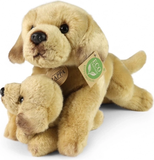 Seguro desde el nacimiento (0+)