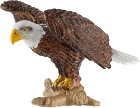 Plástico resistente para el juego diario