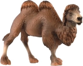 Detalles realistas del camello bactriano