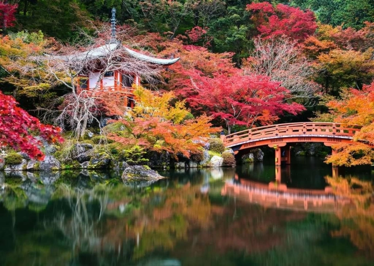 Colores realistas y atmósfera tranquila
