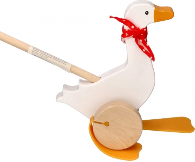 Apoya los primeros pasos y la coordinación