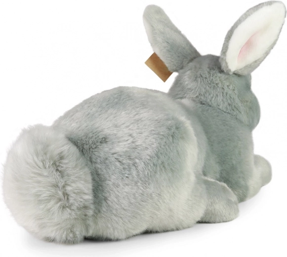 Compañero suave y realista