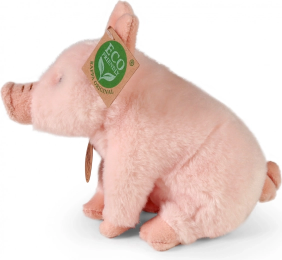 Relleno eco friendly de botellas PET recicladas