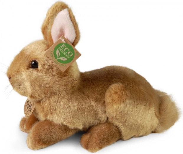 Relleno eco-friendly de PET reciclado