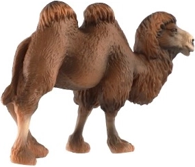 Material resistente y tamaño ideal de 12 cm