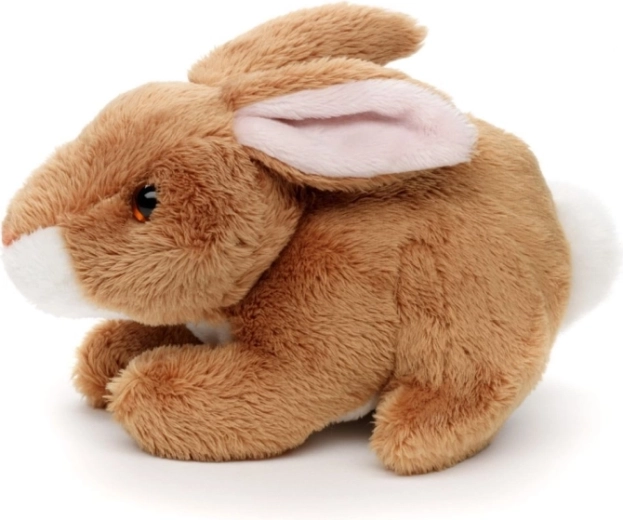 Tamaño perfecto para manos pequeñas