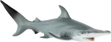 Apariencia fiel del tiburón martillo gigante