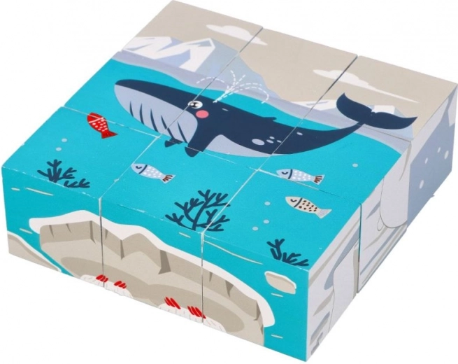 Temáticas oceánicas únicas