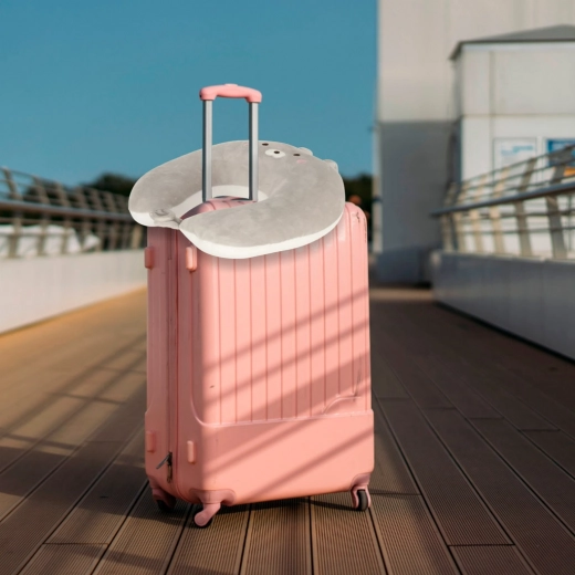 Compacta y práctica