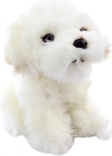 Detalles realistas de un adorable cachorro