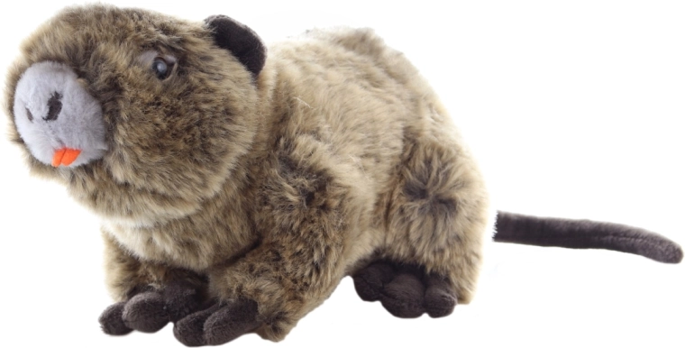 Materiales eco-friendly