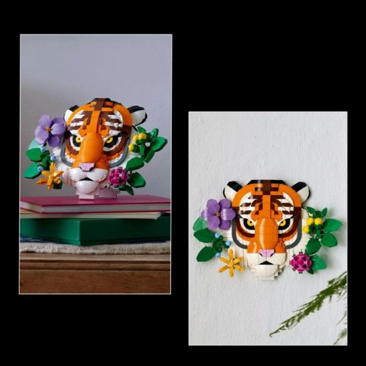 Decoración de doble uso: pared y estantería