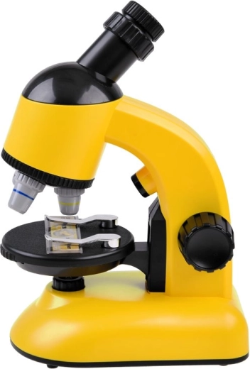 Cabezal giratorio de 360° y luz incorporada