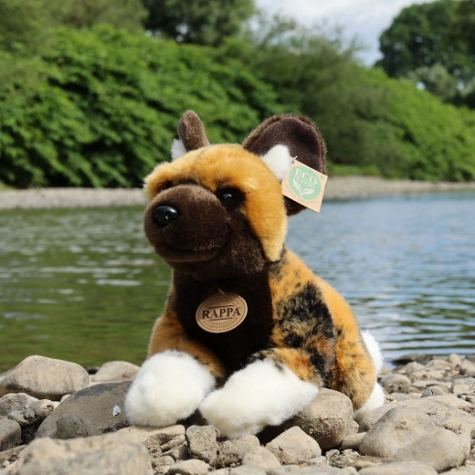 Seguro para niños desde el nacimiento