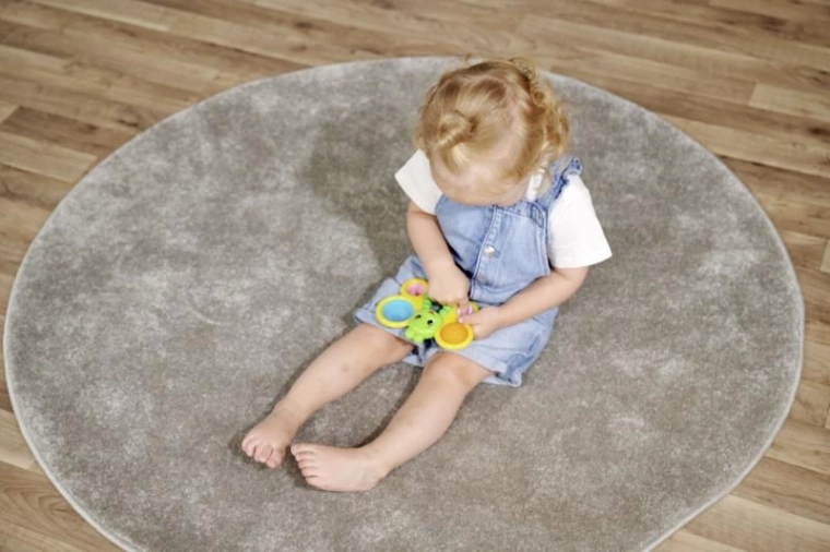 Compañero de viaje ligero