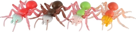 Educativa y relajante