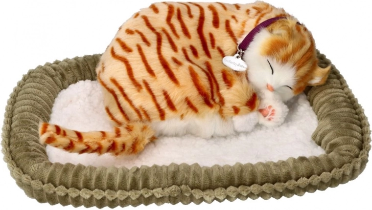 Aspecto realista de un gato atigrado naranja