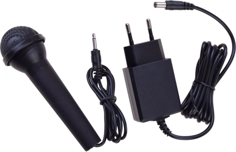 Diversión de karaoke con micrófono y grabación