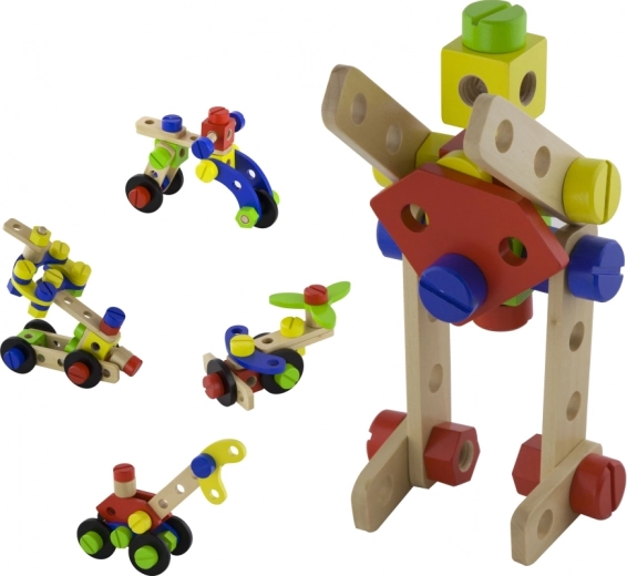 48 piezas y manual ilustrado