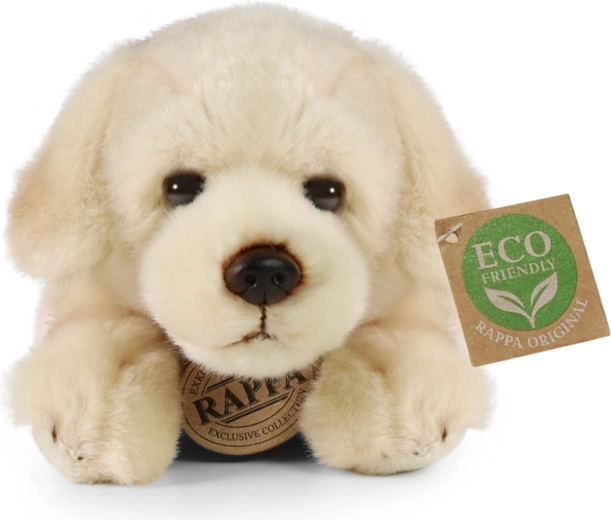 Relleno ECO FRIENDLY de PET reciclado