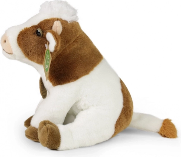 Peluche suave y de calidad