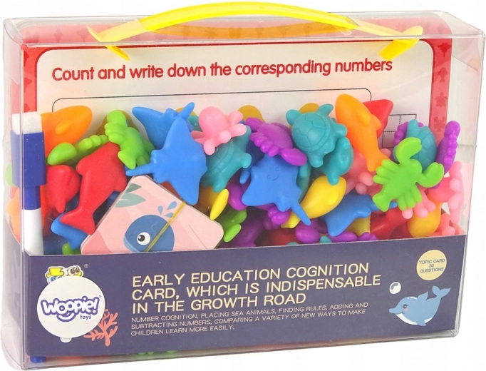 Set educativo multifuncional