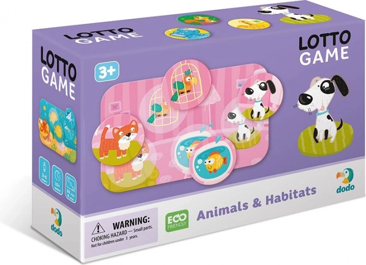 Aprender jugando: animales y sus hogares