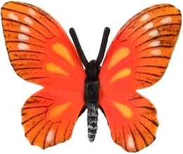 Colores realistas y patrón de las alas